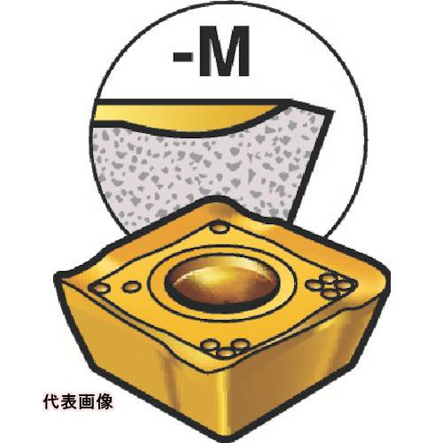 皆既月食を見よう