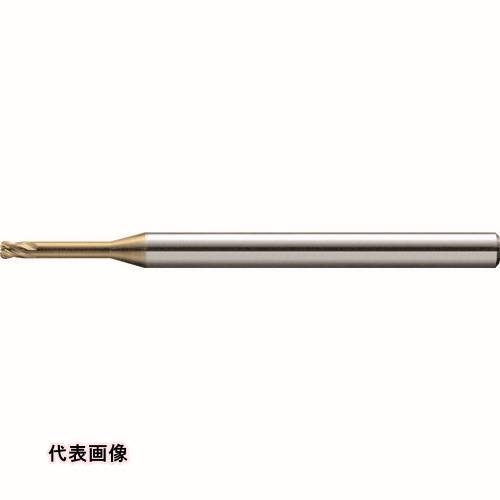 皆既月食を見よう