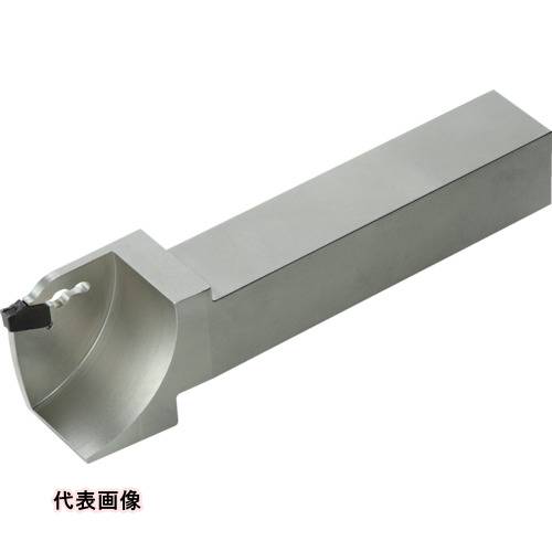 皆既月食を見よう その他-花・ガーデン・DIY-DIY・工具