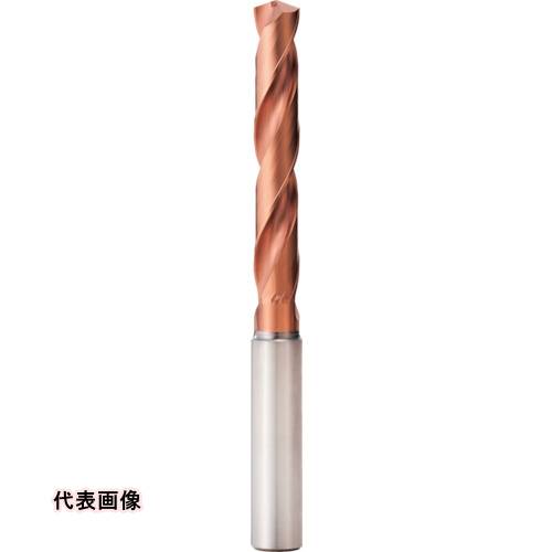 皆既月食を見よう