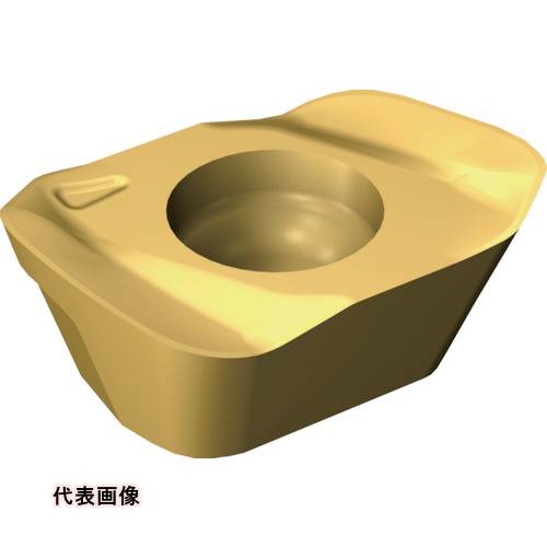 皆既月食を見よう