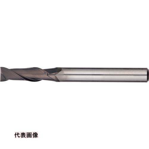 皆既月食を見よう