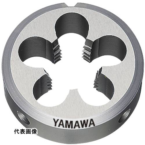 皆既月食を見よう