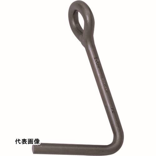 皆既月食を見よう