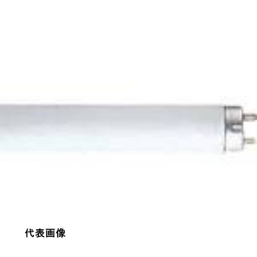 皆既月食を見よう