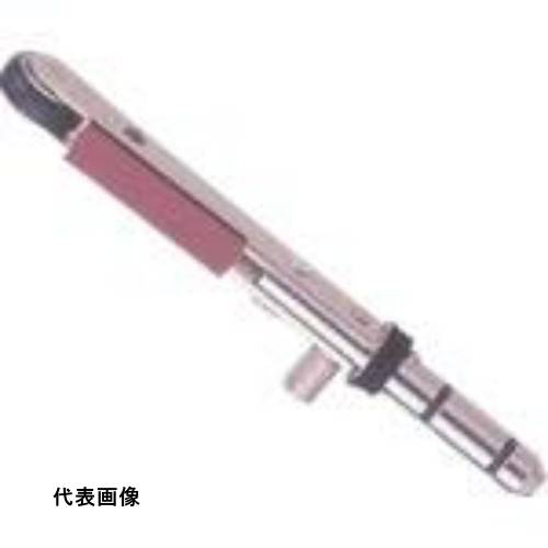 皆既月食を見よう
