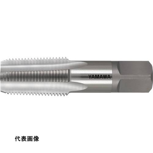 皆既月食を見よう