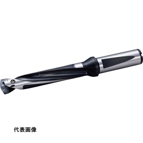 皆既月食を見よう ドリル-穴あけ工具用アクセサリー-花・ガーデン・DIY