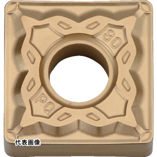 皆既月食を見よう