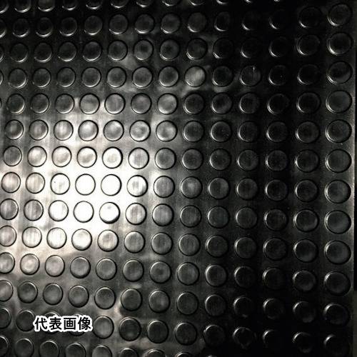 皆既月食を見よう