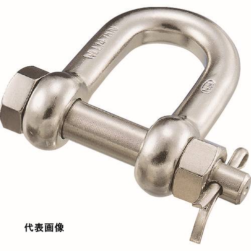 皆既月食を見よう