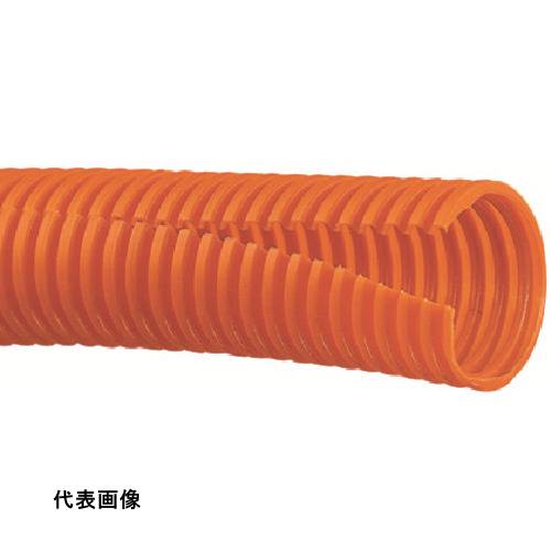 皆既月食を見よう