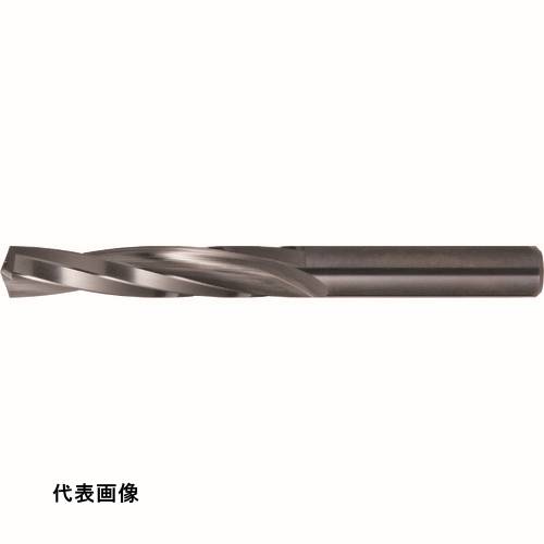 皆既月食を見よう