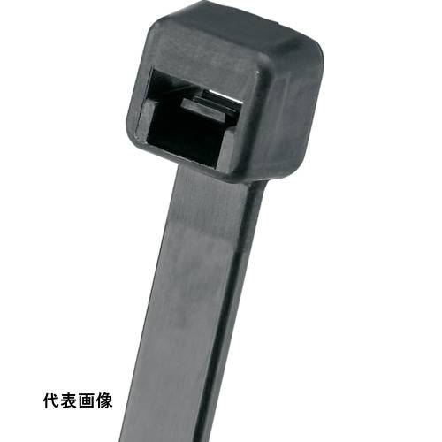 皆既月食を見よう