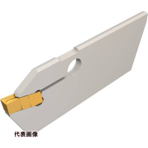 皆既月食を見よう
