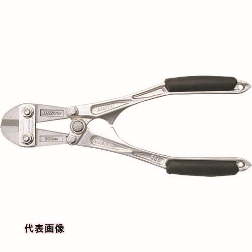 皆既月食を見よう