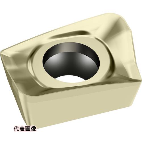 皆既月食を見よう