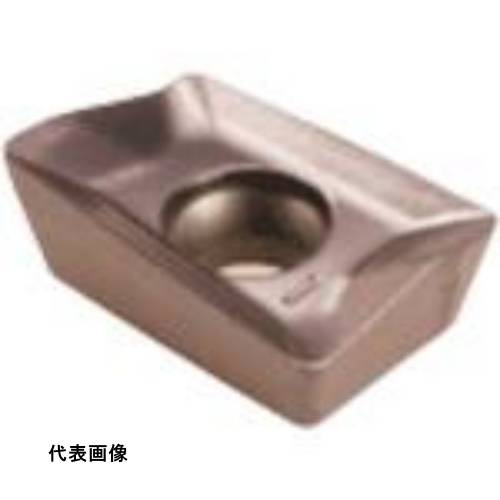 皆既月食を見よう