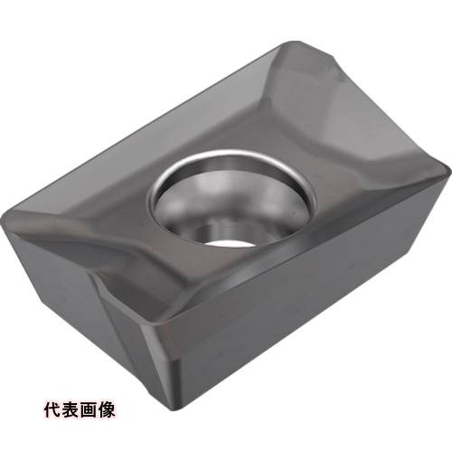 皆既月食を見よう