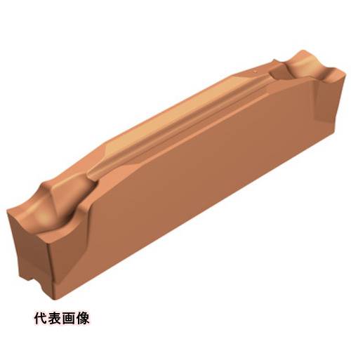 皆既月食を見よう