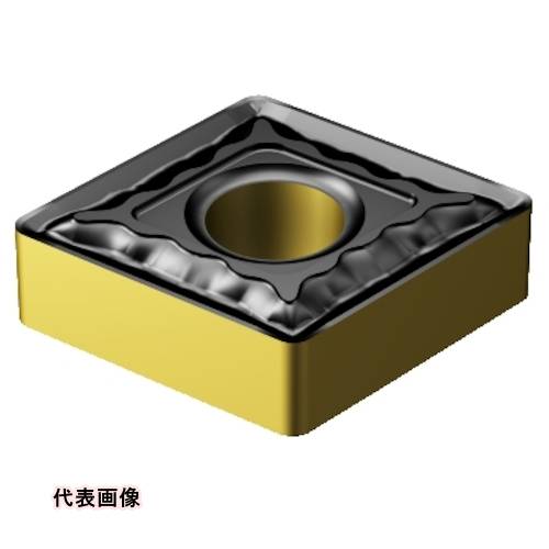 皆既月食を見よう