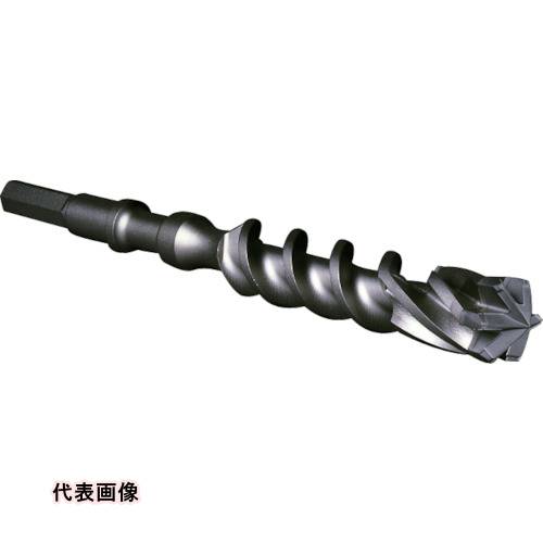 皆既月食を見よう