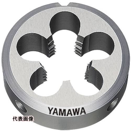 皆既月食を見よう