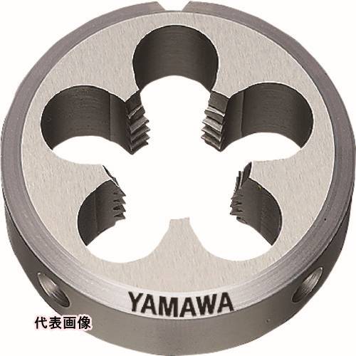 皆既月食を見よう