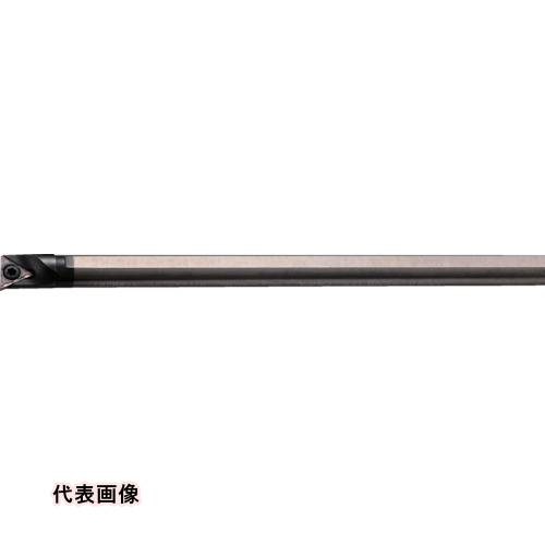 皆既月食を見よう