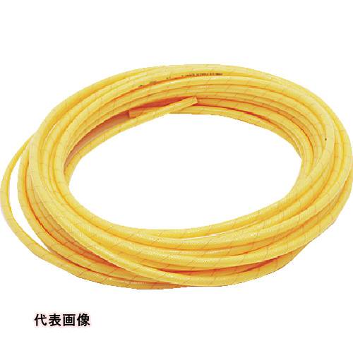 皆既月食を見よう