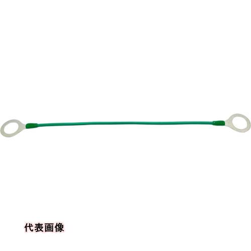 HIーLEAD 被覆付アースボンド R5.5 M20&times;200L 端子保護キャップ付(緑) [EBC-R5.5-20-200-GR] EBCR5.520200GR 10セット 送料無料｜ルーペスタジオ