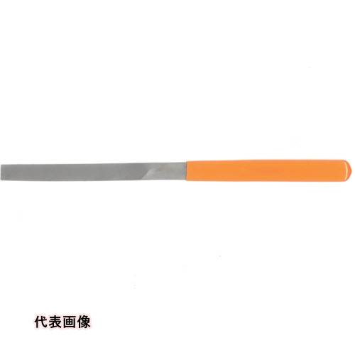 皆既月食を見よう
