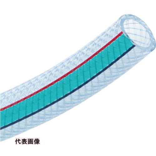皆既月食を見よう