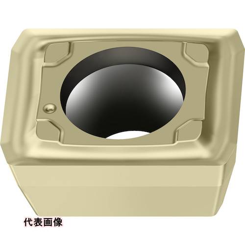 皆既月食を見よう