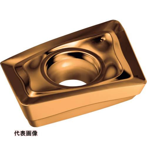 皆既月食を見よう