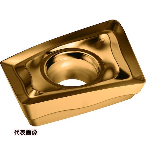 皆既月食を見よう