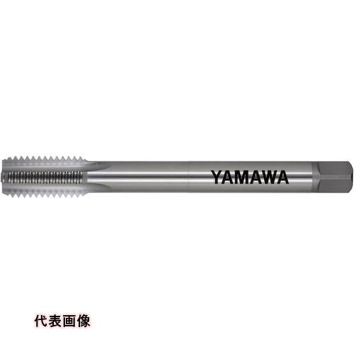 皆既月食を見よう