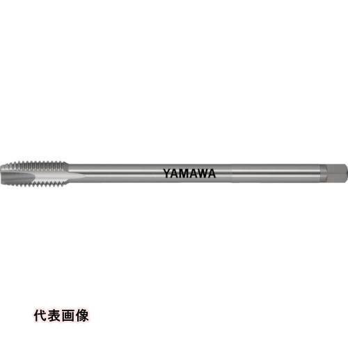 皆既月食を見よう