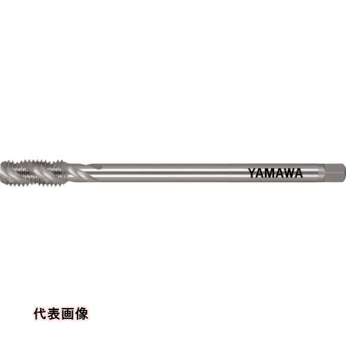 皆既月食を見よう