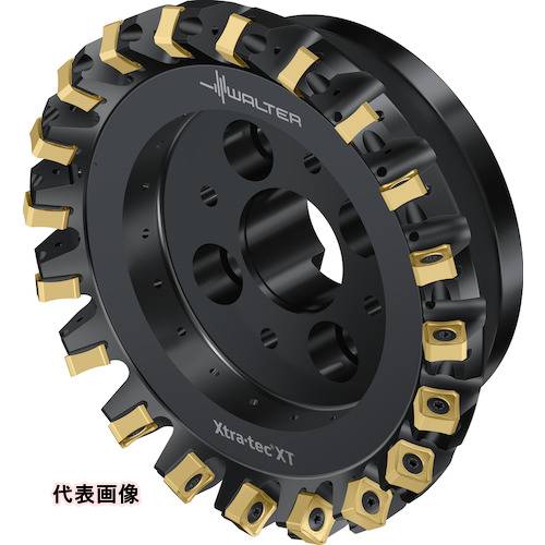 Walter フェイスミルカッター M5009-Bボア穴タイプ 20枚刃 [M5009-160-B40-20-06] M5009160B402006 販売単位：1 送料無料