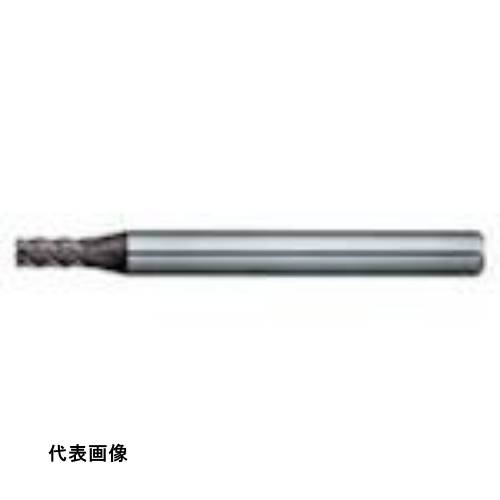 皆既月食を見よう