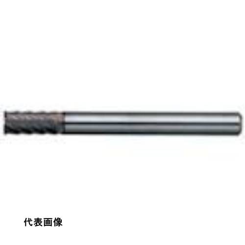 皆既月食を見よう
