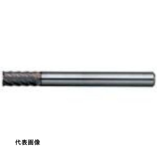 皆既月食を見よう