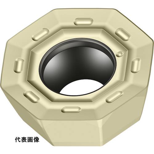 皆既月食を見よう