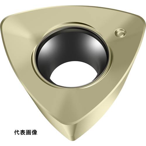 皆既月食を見よう