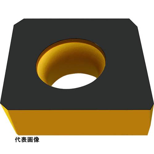 皆既月食を見よう