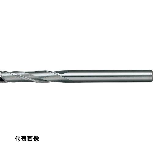 皆既月食を見よう