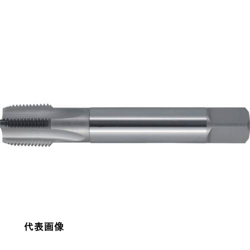 ヤマワ Xシリーズ 管用テーパねじ用ハンドタップ 短ねじ形 PT-X 3/8-19 [PT-X-3/8-19] PTX3819 販売単位：1 送料無料