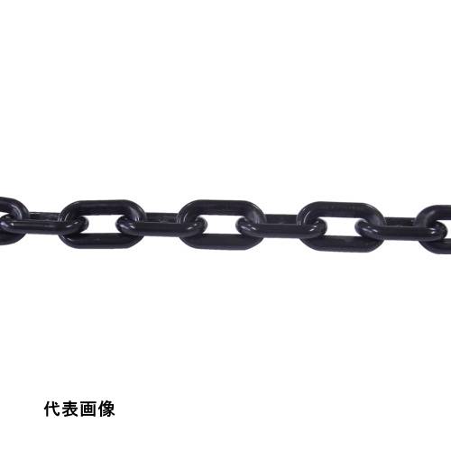 皆既月食を見よう