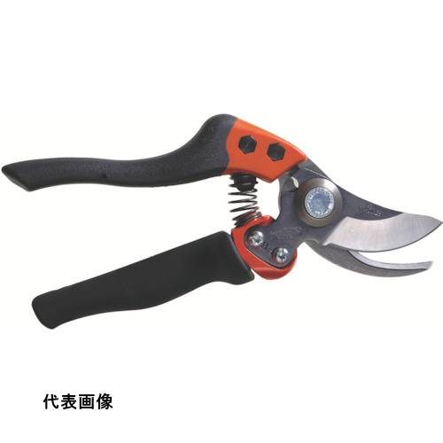 皆既月食を見よう